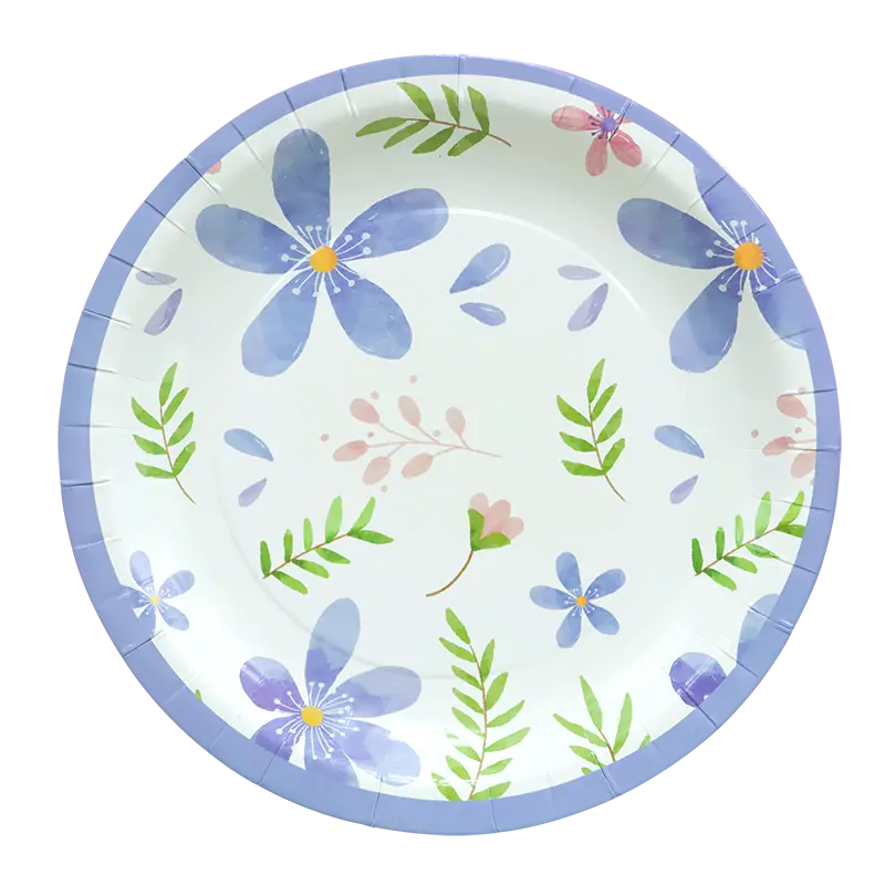 Colorful Paper Plates